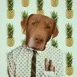 cosmoynova profile picture