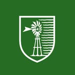 costa_molino profile picture