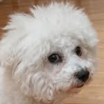 cottio_cottio profile picture