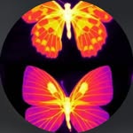 coughs profile picture