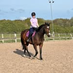 courtney_reilly profile picture