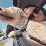 courtneyweik profile picture