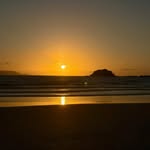 coutinho11563 profile picture