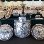 cowalgathering profile picture