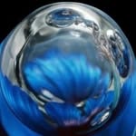coyecurations profile picture