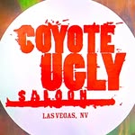 coyoteuglyvegas profile picture