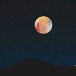 coz_its_anand profile picture