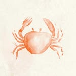 crabcommunications profile picture
