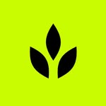 craftwork.design profile picture