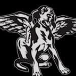 craignorthey profile picture