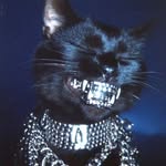 cranberrylensphotography666 profile picture