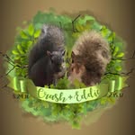 crash_n_eddie profile picture