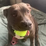 crayola_lia_ profile picture