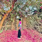 crazy_ketan_07 profile picture