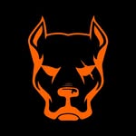 crbcollective profile picture