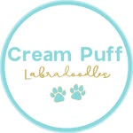 creampufflabradoodles profile picture
