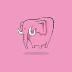 creativedreamsmx profile picture