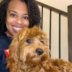 crimsonthecavapoo profile picture
