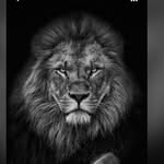 cristian_ferreira99 profile picture