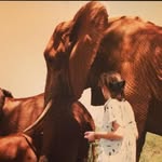 cristina_scalabrini profile picture