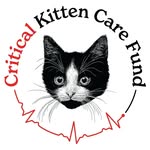 criticalkittencarefund profile picture