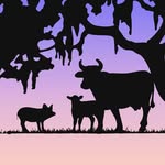 crittercreekfarmsanctuary profile picture