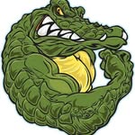 croco_dile113 profile picture