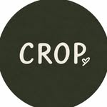 cropactivewear profile picture