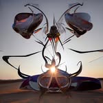 crosslucid profile picture