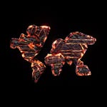 crosstownrebels profile picture