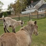crowncharterfarm profile picture
