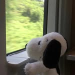 crtt02 profile picture
