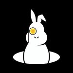 cryptorabbithole profile picture