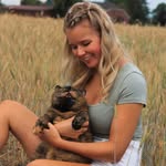 crystal_flames_cattery profile picture