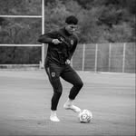 csalcedojr profile picture