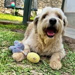 cuateandfriends profile picture