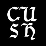 cucculellishaheen profile picture