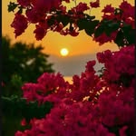 cuddlycove1 profile picture