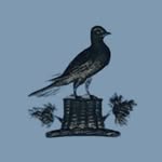 cult.projects profile picture