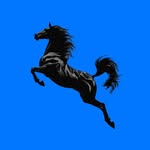cultobcn profile picture
