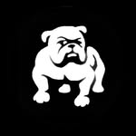 culturedogz profile picture
