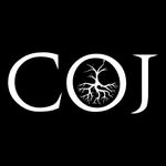 cultureofjiujitsuacademy profile picture