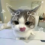 cup._.cakes56 profile picture