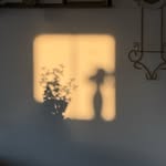curatedd_corner profile picture