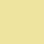 curatedsenses.studio profile picture