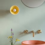 curiousastudio profile picture