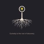 curiousyn_ profile picture