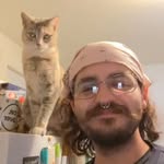 curlyhairqueer profile picture