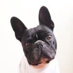 curtisbuchanan profile picture