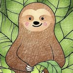 cutee.sloths profile picture
